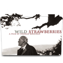 wild strawberries icon